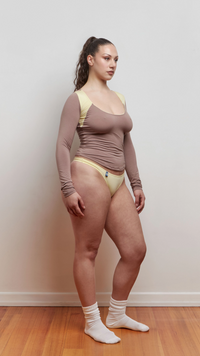 Brown Panel LS